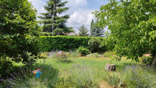 Rieti Bed & Breakfast | Stella Polare B&B