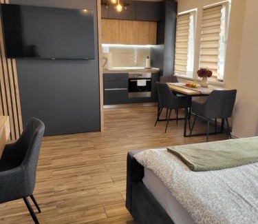 Tirgu Mures Apartment | Stella