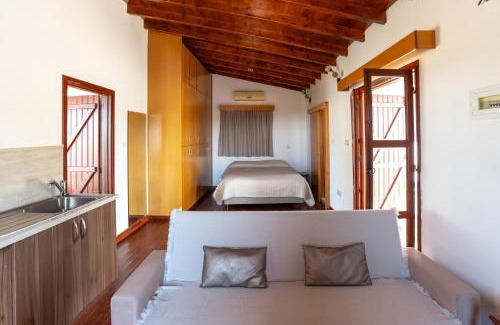 Steni Apartment | Steni Traditional Studio Apartment