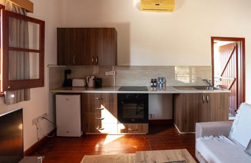 Steni Apartment | Steni Traditional Studio Apartment