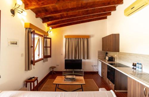 Steni Apartment | Steni Traditional Studio Apartment
