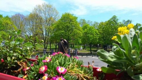 Salem Hotel | Stepping Stone Inn