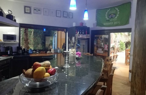 Margarita Island Hotel | Stevie WonderLand