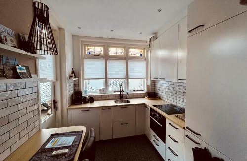 Park Merwestein en omgeving Apartment | Stijlvolle benedenwoning Singel