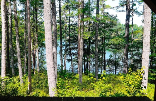 Denmark House | Still waters on Long Pond