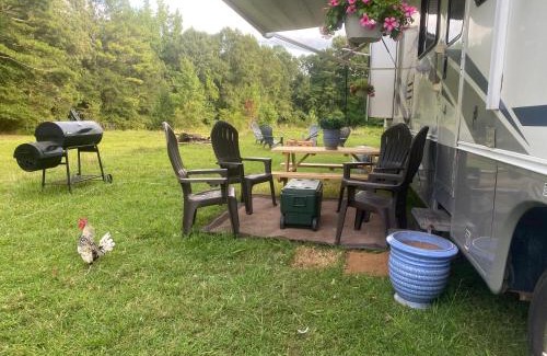 Rockdale County Other | Stinnett Family Farm