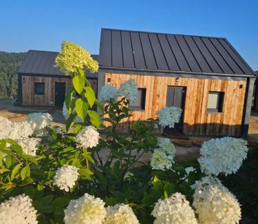 Solina House | Stodoły w Bieszczadzie domy z basenem i widokiem na góry