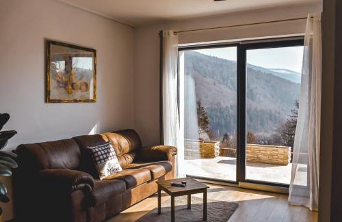 Sinaia Apartment | Stone Apartment with sauna Sinaia