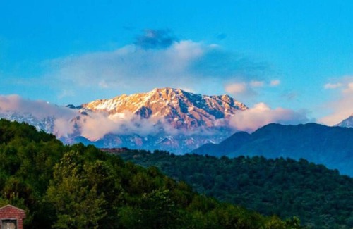 Dharamshala House | Stone Hill Villaa