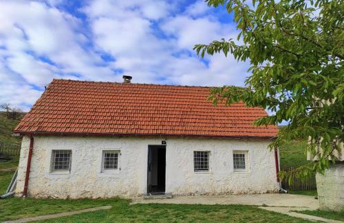 Pluzine House | Stone house