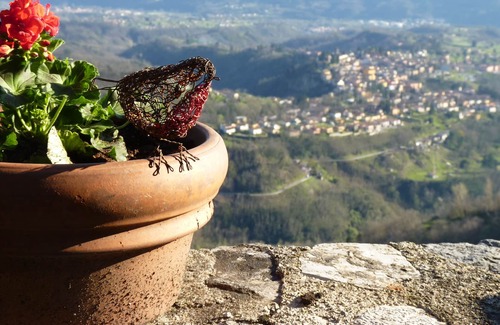 Barga Villa | Stone Villa on Front Edge of 2000 Year Old Tuscan Hilltop Village