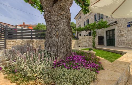 Dracevac Villa | Stone villa Parentium with private pool in Porec