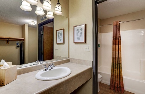 Moline Hotel | Stoney Creek Hotel Quad Cities - Moline