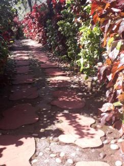 Mahabaleshwar Villa | Strawberry Country