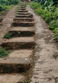 Virarajendrapet House | Stream side