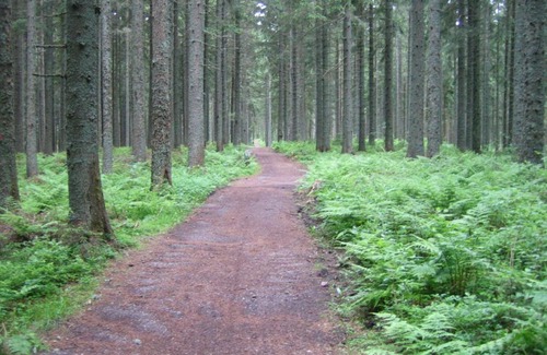 Kappel Apartment | "Stroh zu Gold"