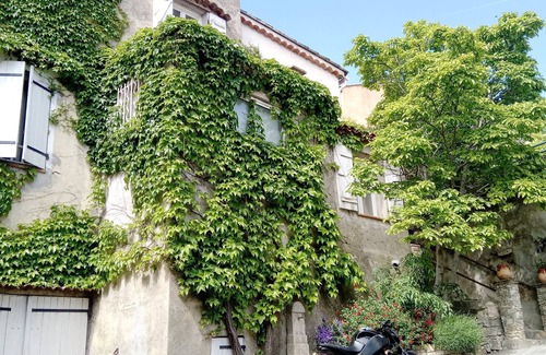 Sainte-Anastasie-sur-Issole Apartment | Studio Magnolia Provence Alpes Côte d'Azur