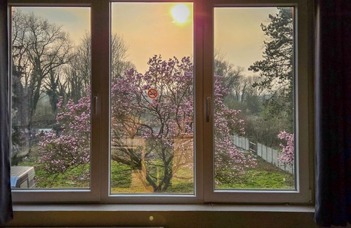 Boussu Apartment | Studio 1 person - n°110-5