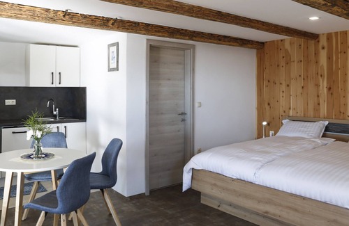 Dravograd Apartment | Studio 1111 with Sauna & Hot Tub