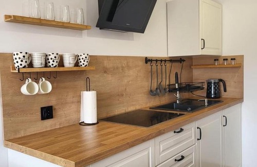 Gowidlino Apartment | Studio 4-osobowe