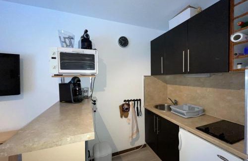 Allos Apartment | Studio 4 people down the slopes- La Foux d'Allos