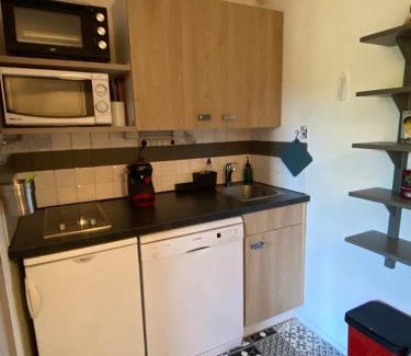 Les Claux Apartment | Studio 4 pers à 100m des pistes- Vars les claux