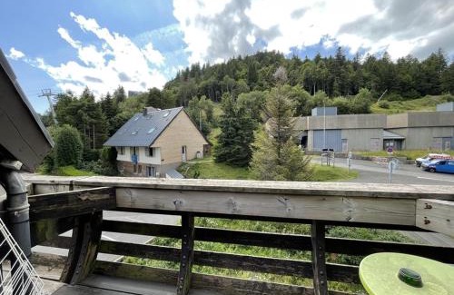 Laveissiere Apartment | Studio 4 pers. avec balcon et casier à skis, au pied des pistes - FR-1-787-45