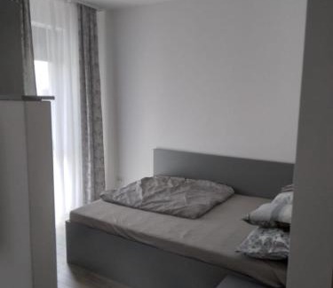 Baile Felix Apartment | Studio Andrei