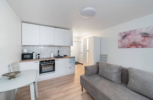 Kaunas Apartment | Studio Ap Flora by Polo Apartments