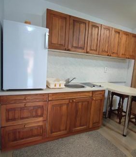 Varazdinske Toplice Apartment | Studio apartman Petra