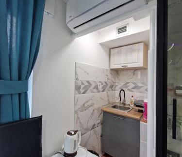 Pluzine Apartment | Studio apartman 011