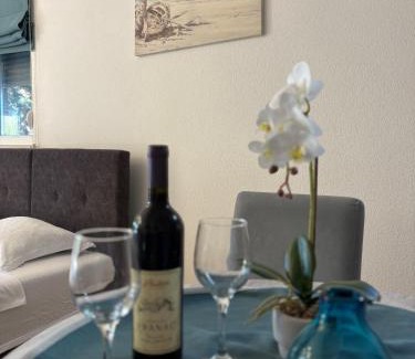 Mrcevac Apartment | Studio apartman Happy Home