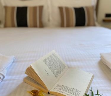 Nin Apartment | Studio apartment Dalmatia
