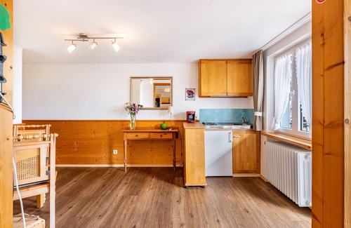 Donaueschingen Apartment | Studio Apartment 'Apartment 2' with Shared Garden, Balcony and Wi-Fi