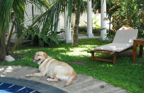 Tangalle Apartment | Studio Apartment in Sri Lanka Paradise close to Beach, Town, Safari, Sightseeing