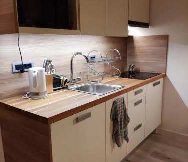 Bovec Apartment | Studio Apartment Jež