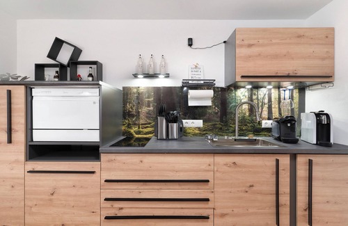 Illenau Apartment | Studio Apartment 'Schwarzwald Chalet Achern' with Wi-Fi