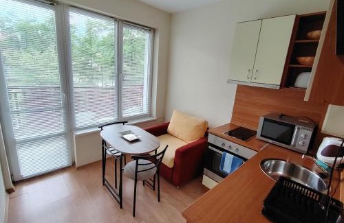Samokov Apartment | Studio apartment with mountain view at Eagle Rock complex
