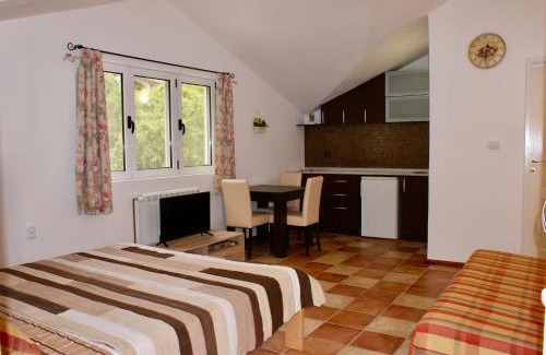 Donji Morinj Apartment | Studio apartments Morinj