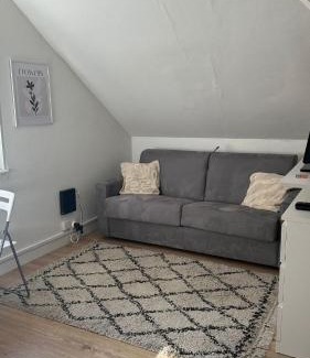 Nouvelle Ville Apartment | Studio Arena Metz - 2P - 26 m2
