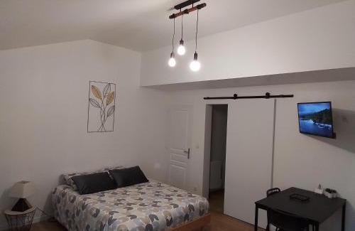 Mayet Apartment | Studio avec jardin