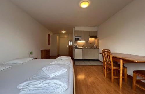 Vionnaz Apartment | Studio avec Parking