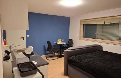 Les Paccots Apartment | Studio avec sauna privé