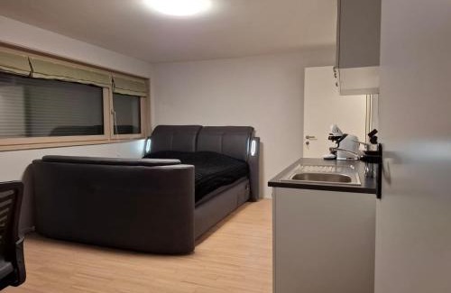 Les Paccots Apartment | Studio avec sauna privé