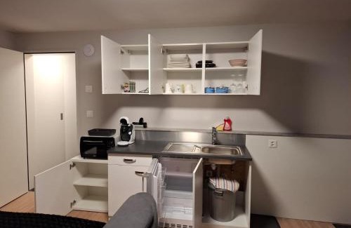 Les Paccots Apartment | Studio avec sauna privé