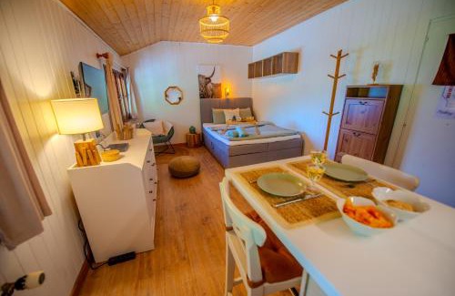 Leysin Apartment | Studio avec sauna - 300m des pistes