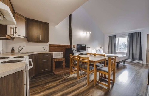 Saint Ferreol les Neiges House | Studio Chamonix 2 (Mezz 2 Q) - 4 people