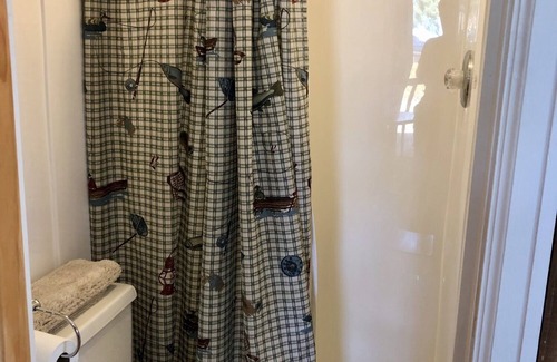 Hot Springs Cabin | Studio cabin on private lake, pet friendly