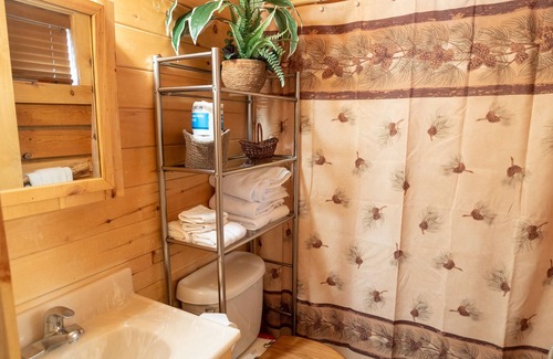 Overgaard Cabin | Studio Cabin with full bathroom and kitchenette