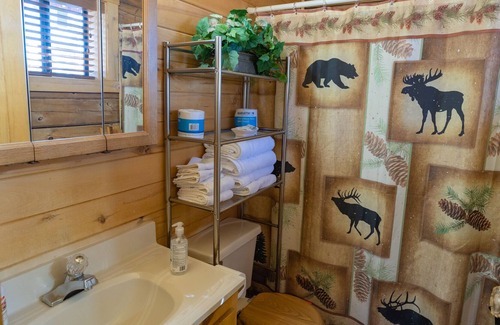 Overgaard Cabin | Studio Cabin with full bathroom and kitchenette